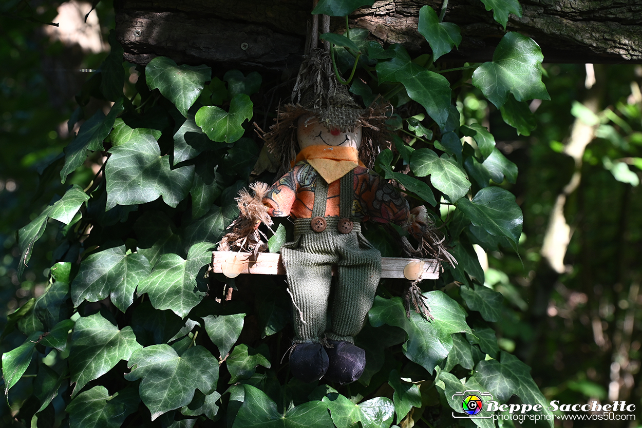 VBS_4934 - Il bosco fatato - Montaldo Roero.jpg